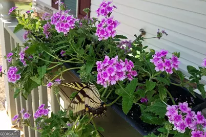 123 Conifer Court, Winterville, GA 30683 - Photo 47