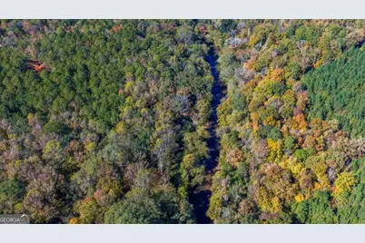 3471 Ga Highway 42 N, Forsyth, GA 31029 - Photo 19