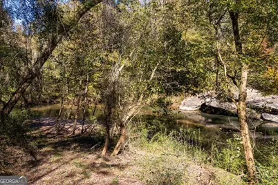 3471 Ga Highway 42 N, Forsyth, GA 31029 - Photo 9