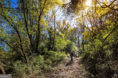 3471 Ga Highway 42 N, Forsyth, GA 31029 - Photo 13