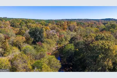 3471 Ga Highway 42 N, Forsyth, GA 31029 - Photo 25