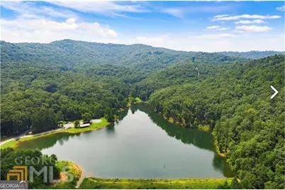 945 Longbranch Drive, Ranger, GA 30734 - Photo 7