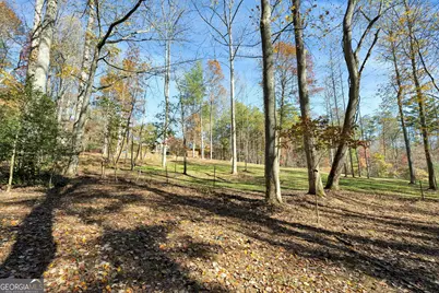 1099 Lickskillet Circle, Epworth, GA 30541 - Photo 43