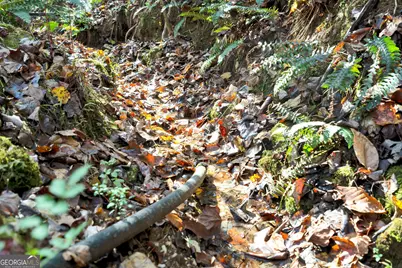 1099 Lickskillet Circle, Epworth, GA 30541 - Photo 35