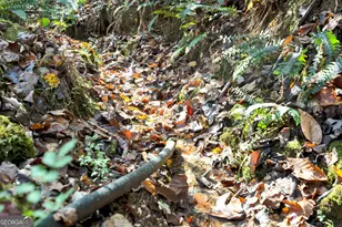 1099 Lickskillet Cir, Epworth, GA 30541 - Photo 35