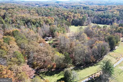 1099 Lickskillet Circle, Epworth, GA 30541 - Photo 45