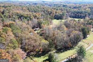 1099 Lickskillet Cir, Epworth, GA 30541 - Photo 45