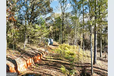 0 New Franklin Church Road, Canon, GA 30520 - Photo 3