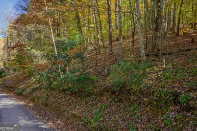0 Willard Mountain Road, Blue Ridge, GA 30513 - Photo 11
