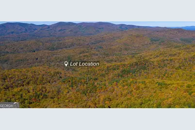 0 Willard Mountain Road, Blue Ridge, GA 30513 - Photo 3