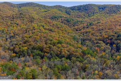 0 Willard Mountain Road, Blue Ridge, GA 30513 - Photo 7