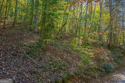 0 Willard Mountain Road, Blue Ridge, GA 30513 - Photo 13