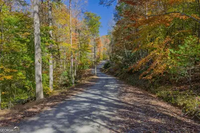 0 Willard Mountain Road, Blue Ridge, GA 30513 - Photo 9