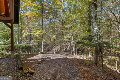 1010 Meadowview Ridge, Clarkesville, GA 30523 - Photo 39