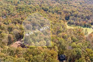 1010 Meadowview Ridge, Clarkesville, GA 30523 - Photo 3