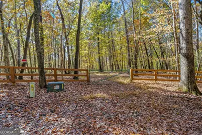 1010 Meadowview Ridge, Clarkesville, GA 30523 - Photo 49