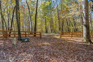 1010 Meadowview Ridge, Clarkesville, GA 30523 - Photo 49