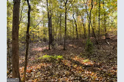 56 Ivey Circle, Forsyth, GA 31029 - Photo 7