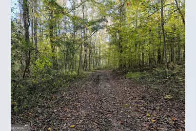 56 Ivey Circle, Forsyth, GA 31029 - Photo 19