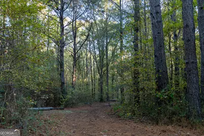 56 Ivey Circle, Forsyth, GA 31029 - Photo 11