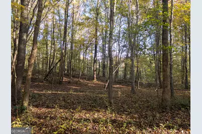56 Ivey Circle, Forsyth, GA 31029 - Photo 29