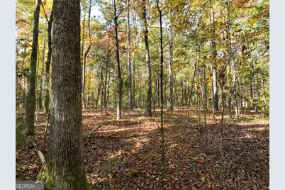 56 Ivey Circle, Forsyth, GA 31029 - Photo 27