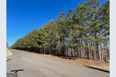 920 Whistler Lane #68, Canton, GA 30114 - Photo 3