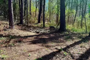 1104 Alverson Rd, Lagrange, GA 30241 - Photo 25