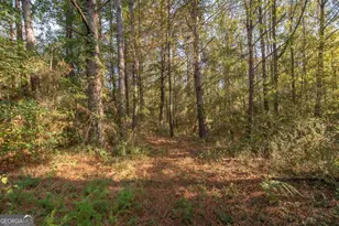 1104 Alverson Rd, Lagrange, GA 30241 - Photo 25