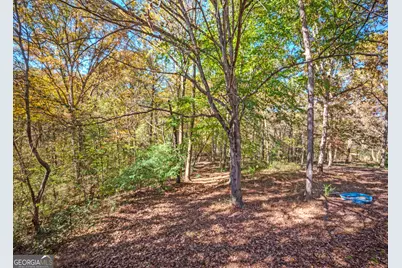 365 Carroll Church Road, Lavonia, GA 30553 - Photo 37