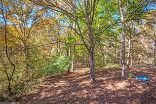 365 Carroll Church Rd, Lavonia, GA 30553 - Photo 37