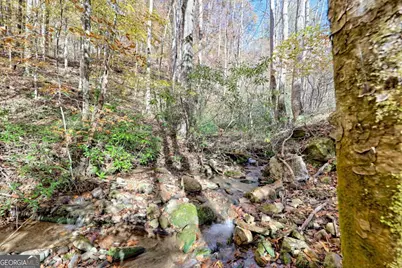 1307 Clear Creek Road, Hayesville, NC 28904 - Photo 41