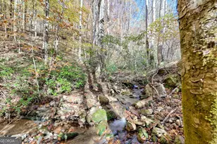 1307 Clear Creek Rd, Hayesville, NC 28904 - Photo 41