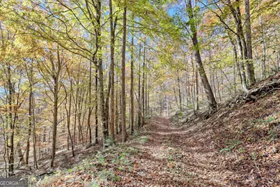 1307 Clear Creek Road, Hayesville, NC 28904 - Photo 61