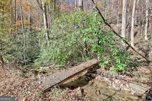 1307 Clear Creek Rd, Hayesville, NC 28904 - Photo 5