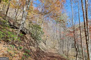 1307 Clear Creek Rd, Hayesville, NC 28904 - Photo 65