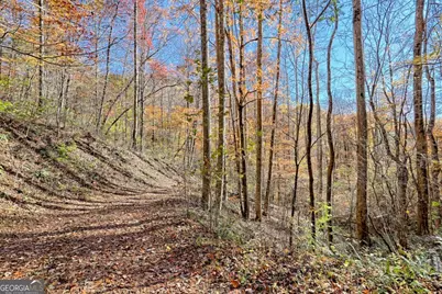 1307 Clear Creek Road, Hayesville, NC 28904 - Photo 63