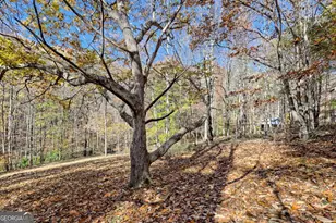 1307 Clear Creek Rd, Hayesville, NC 28904 - Photo 43