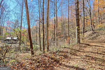 1307 Clear Creek Road, Hayesville, NC 28904 - Photo 59