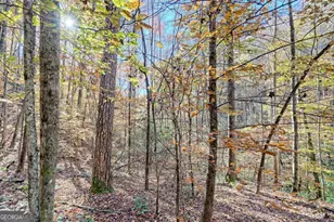 1307 Clear Creek Rd, Hayesville, NC 28904 - Photo 45