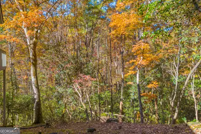 222 Blue Ridge Drive, Sautee Nacoochee, GA 30571 - Photo 53