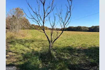 Tract 1 Taylor Road, Lexington, GA 30648 - Photo 5