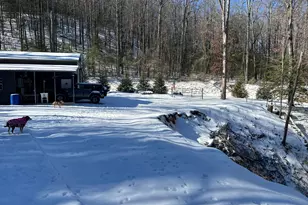 327 Polly Gap Rd, Clayton, GA 30525 - Photo 51