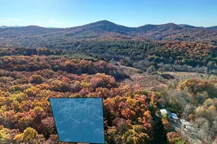 74 Mountain Woods Rd, Blairsville, GA 30512 - Photo 29