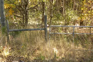 2484 Apple Pie Ridge Rd, Alto, GA 30510 - Photo 103