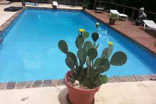 46 Turnbull Dr SE, Rome, GA 30161 - Photo 39