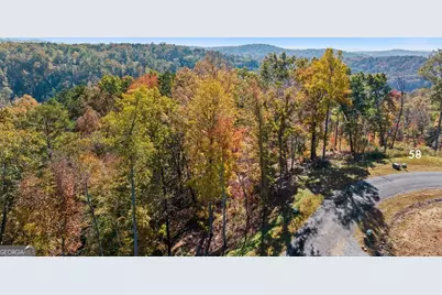 Lot 58 Ridge Line Trail, Ellijay, GA 30540 - Photo 7
