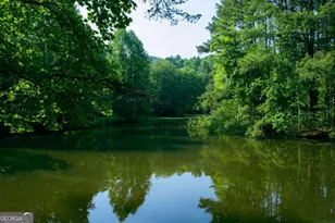 184 Rockhouse Road, Cherry Log, GA 30522 - Photo 29