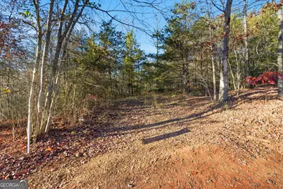 201 Spookhaven Lane, Clarkesville, GA 30523 - Photo 5