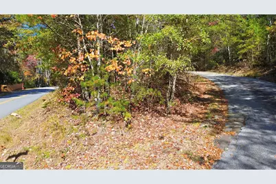 201 Spookhaven Lane, Clarkesville, GA 30523 - Photo 9